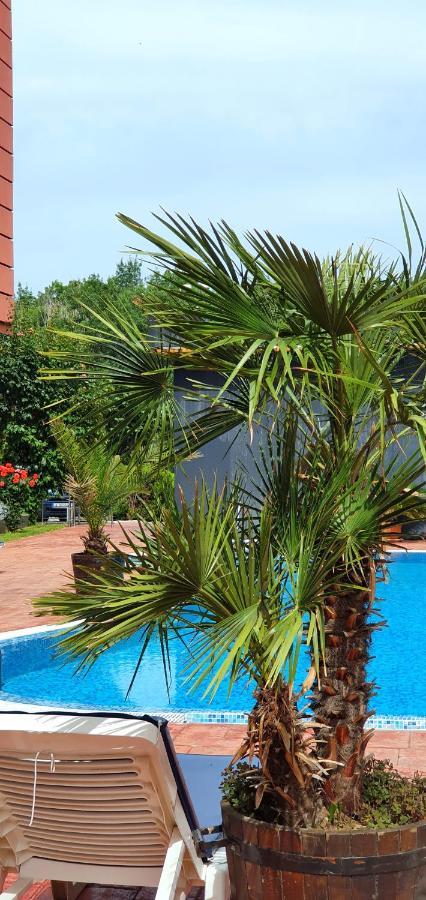 Apartament Cacao Residence Sunny Beach Esterno foto